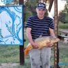 Трофейный сазан 8 кг. Ловля сазана на фидер в сентябре (Ахтуба, рыболовная база Трехречье)